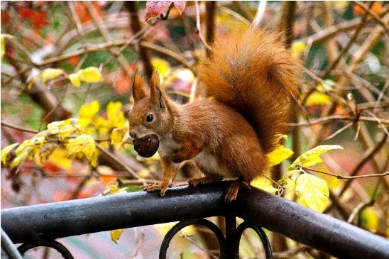 Herbstferien